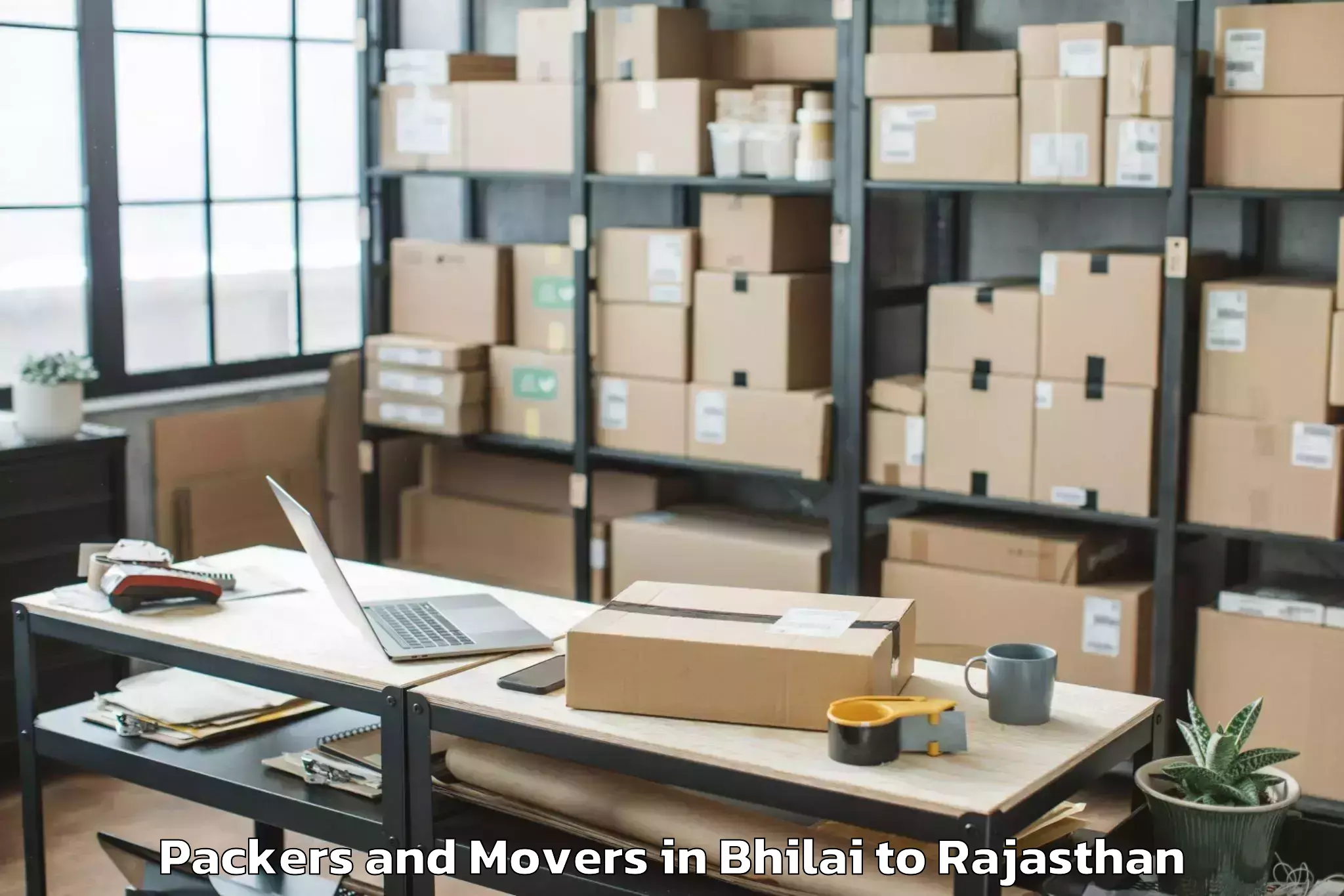 Reliable Bhilai to Pindwara Packers And Movers